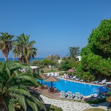 Alkyoni Beach Hotel Naxos City Dış mekan fotoğraf
