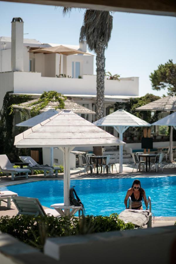 Alkyoni Beach Hotel Naxos City Dış mekan fotoğraf
