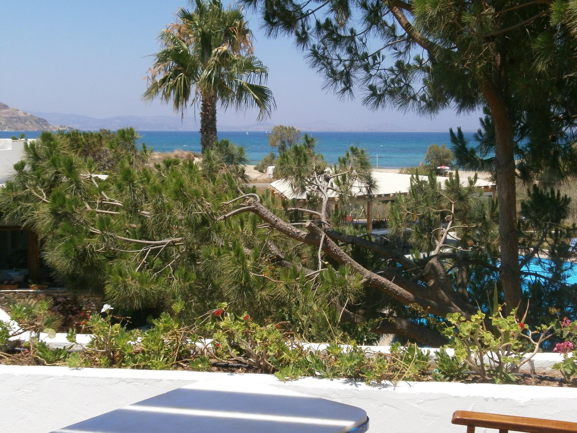 Alkyoni Beach Hotel Naxos City Dış mekan fotoğraf