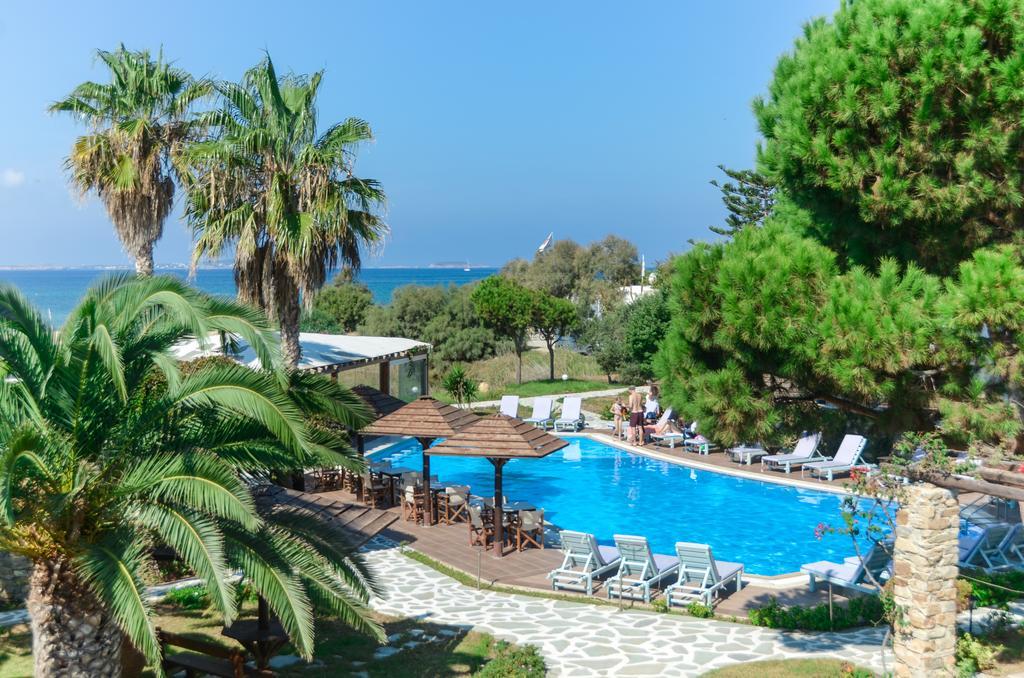 Alkyoni Beach Hotel Naxos City Dış mekan fotoğraf
